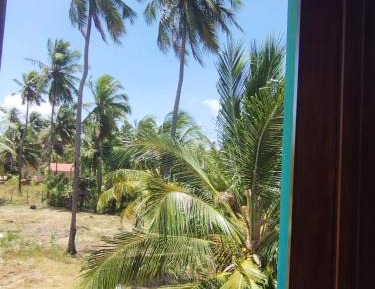 Double Room with Patio