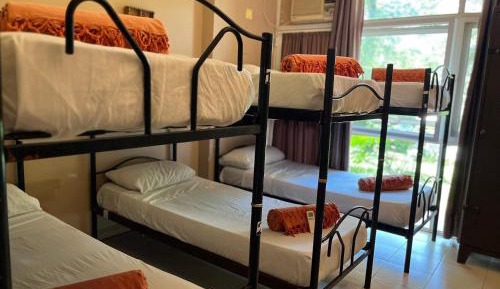 Bunk Bed in Female Dormitory Room  