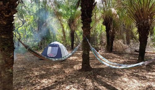Tent