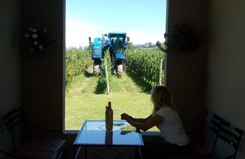 Maipu Other | Posada Cavieres Wine Farm