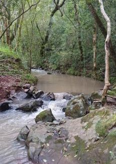 Santa Ana Other | Cabaña Familiar con arroyo sobre Ruta 12 II