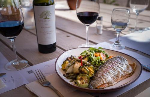 Tupungato Cabin | Atamisque Wine Lodge - Valle de Uco