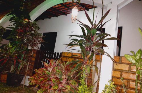 Atins House | Garden House - Atins