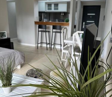 Concordia Apartment | Concordia Suites Temporales