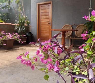 Plano Diretor Sul House | Jardim Primavera