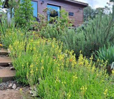Sao Francisco de Paula Cabin | Dolce Far Niente - Lavanda