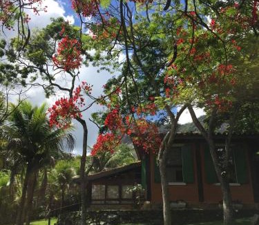 Muqui House | Guest House Tânia Alves