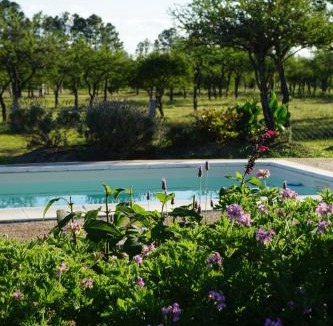 Chajari House | AGUAPÉ - Alojamiento rural con PILETA - hasta 4 huéspedes