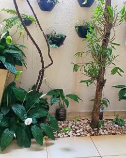 Paranavai House | Mini Garden kitnet