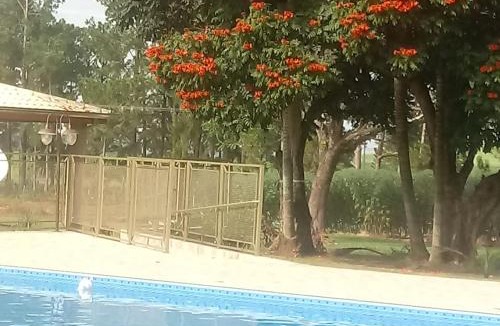 Avare Hotel | Hotel Kaeru