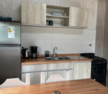 Las Golondrinas Ski Chalet | Cabaña Don Ramon - Puerto Patriada