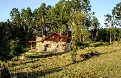 Calamuchita Department Ski Chalet | Cabaña villa alpina Mantillo de bosque