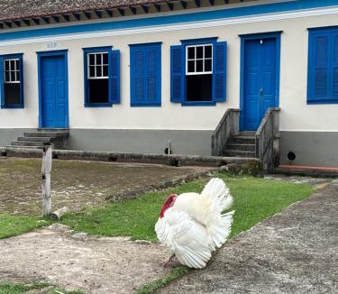 Duas Barras House | Fazenda Penedo