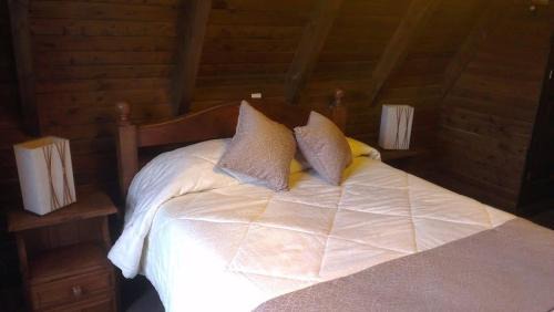 San Martin de los Andes Ski Chalet | Cabañas Antilhue