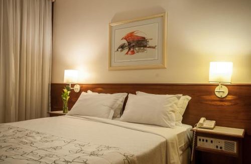 Sao Jose do Rio Preto Hotel | Saint Peter Hotel