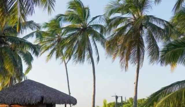 Guajiru kite Safari