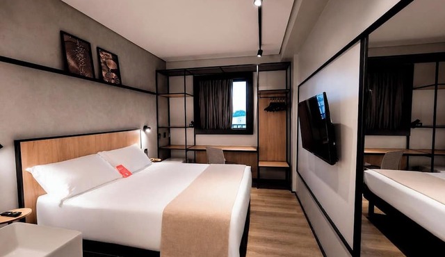 Ibis Araguaína