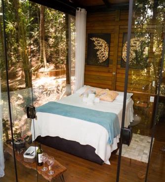 Tree House