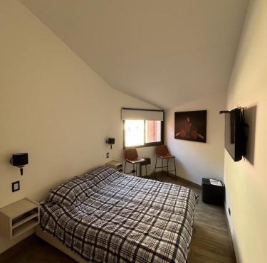 Departamento juncal Penitentes