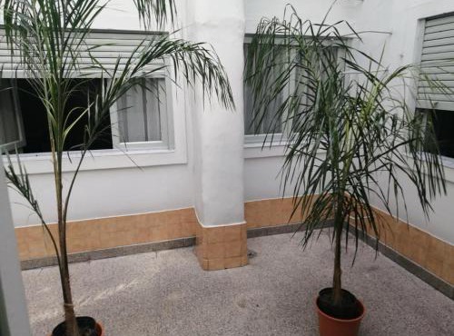 Suite en Hotel Omega Palermo