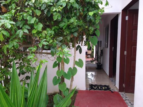 Suíte Com Piscina E Caraguatatuba 